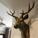 Cabeça de Veado Decorativa Falsa 17” — Estilo Fazenda, Antlers em Resina | Rustic Wall Decor | TAVARES HOME
